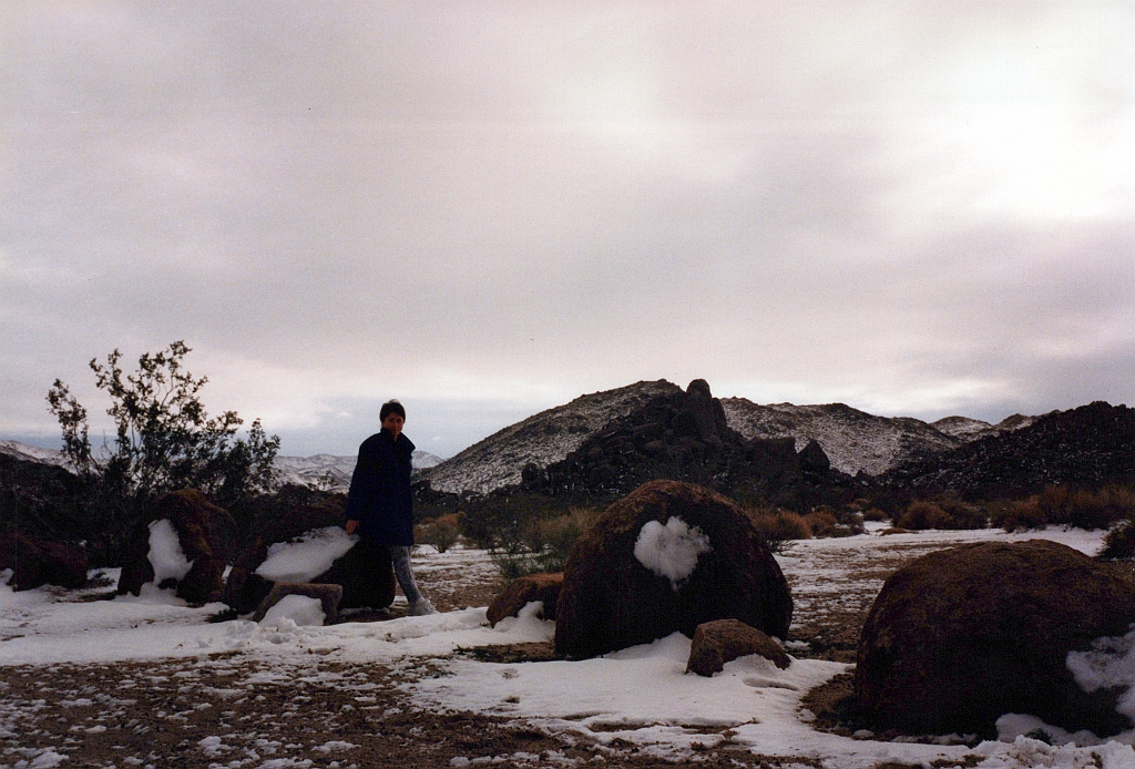 1997 - USA 04 (Joshua Tree National Park, CA).jpg